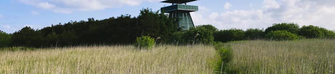 Værntårnet på værnengene - gratis seværdigheder i Vestjylland
