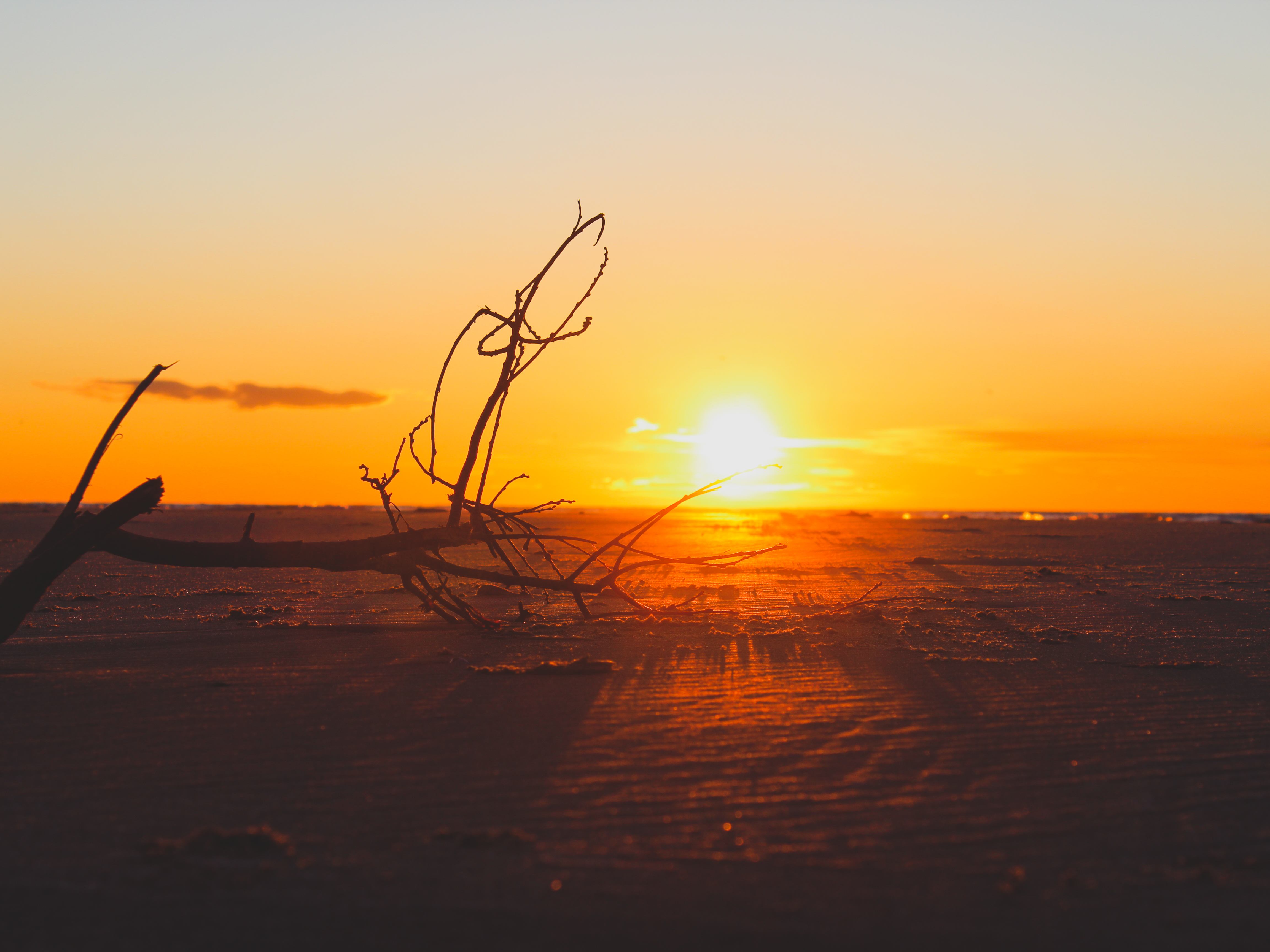 Sommerferie i Vestjylland: Oplevelser for hele familien